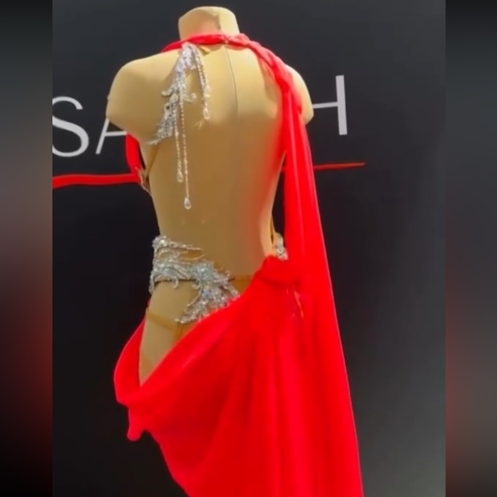 Brand new Savich latin dance dress - Picture 4 of 17